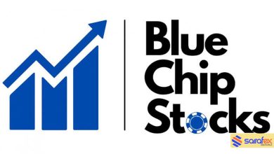 ارزهای دیجیتال بلو چیپ Blue Chip چیست؟